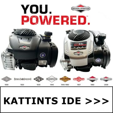 BRIGGS & STRATTON FÜGGŐLEGES TENGELYŰ MOTOR