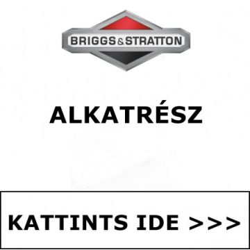 BRIGGS & STRATTON® ALKATRÉSZ